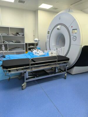 4 Ergonomic Handles Non Magnetic Stretcher Height Adjustable 22 To 32 Inches Perfect For MRI Room Patient Handling Needs
